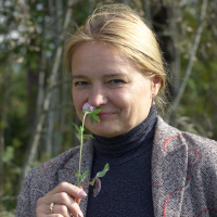 Linda Būcēna